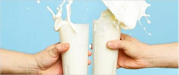 16 diversi tipi di latte (perché è bene avere delle opzioni)
